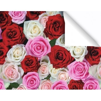 Everyday Premium Coated Gift Wrap Roll  3A2141 (+ Roll Size)